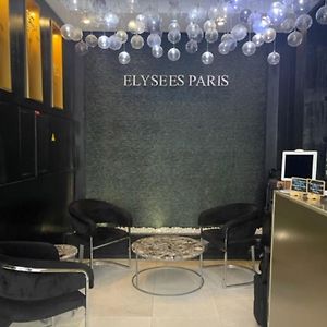 Hotel Elysees Paris